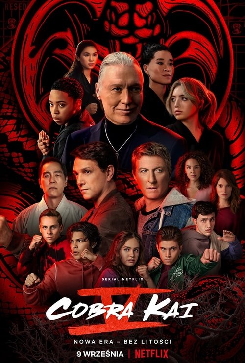 Recenzja: Cobra Kai - recenzja