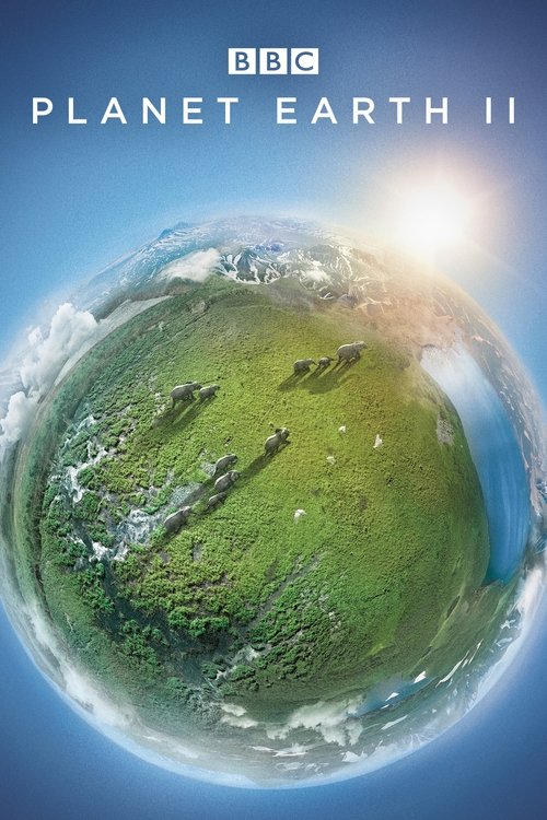 Recenzja: Planeta Ziemia II - recenzja