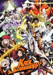 Recenzja: SHAMAN KING