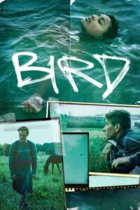 Recenzja: Bird
