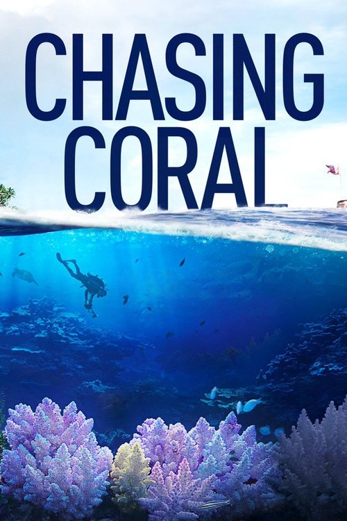Recenzja: Chasing Coral - recenzja