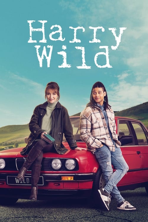 Recenzja: Harry Wild - recenzja