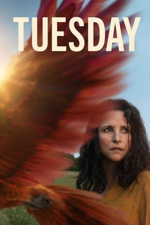 Recenzja: Tuesday - recenzja
