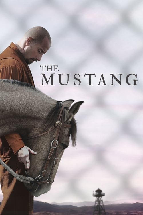 Recenzja: Mustang - recenzja