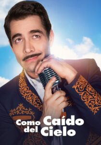 Como caído del cielo (2019) - plakat