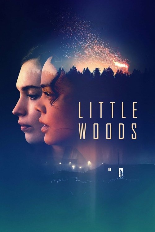 Little Woods (2019) – plakat filmu
