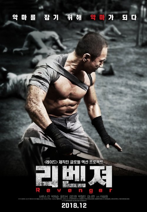 Mściciel (2018) – plakat filmu