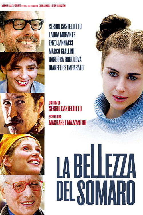 La bellezza del somaro (2010) – plakat filmu