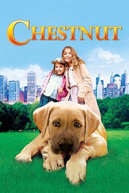 Chestnut: Hero of Central Park (2004) – plakat filmu