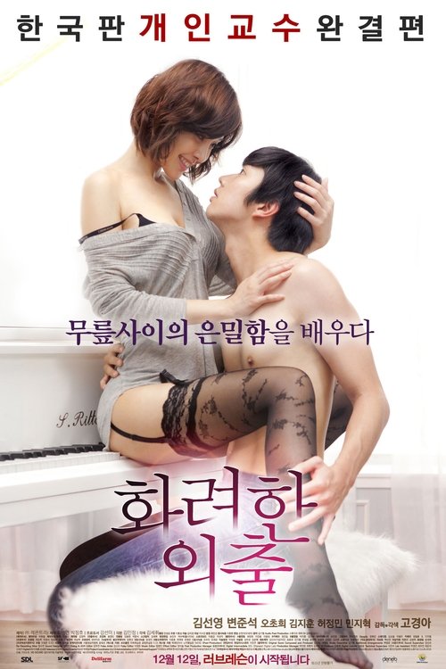 화려한 외출 (2013) – plakat filmu