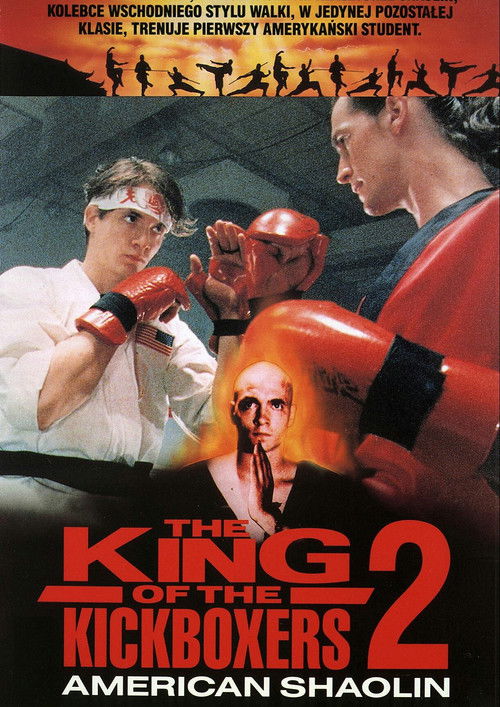 Amerykanin z Shaolin (1991) – plakat filmu