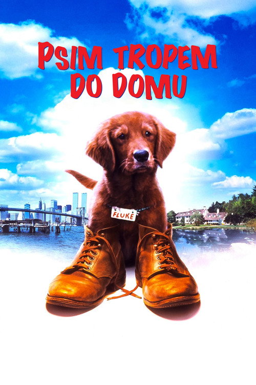 Psim tropem do domu (1995) – plakat filmu