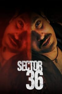 Sektor 36 (2024) – plakat filmu