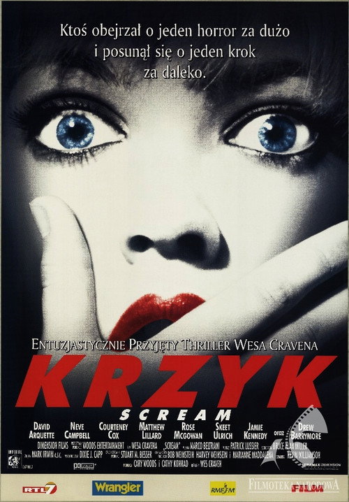 Krzyk (1996) – plakat filmu