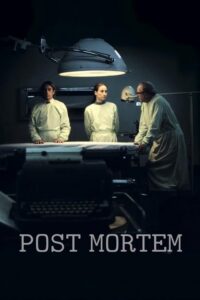 Post Mortem (2010) – plakat filmu