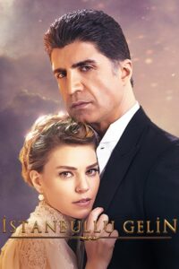 İstanbullu Gelin (2017) – plakat filmu