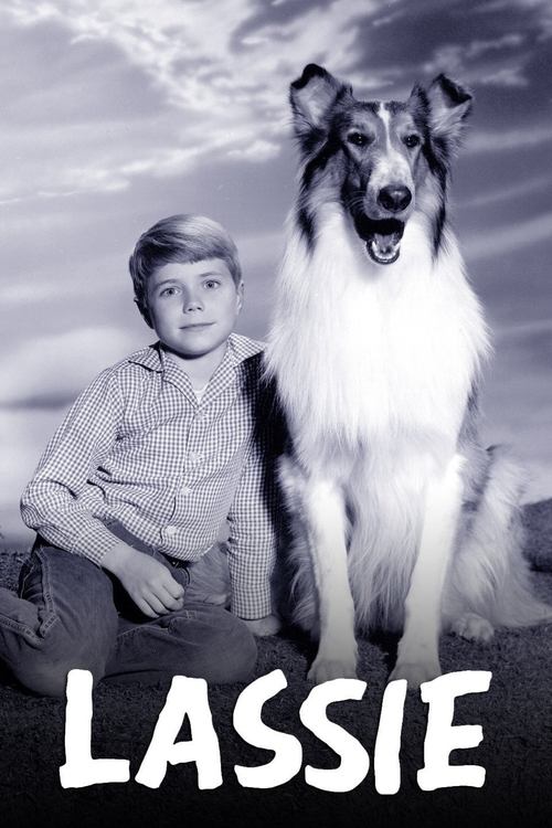 Lassie (1954) – plakat filmu