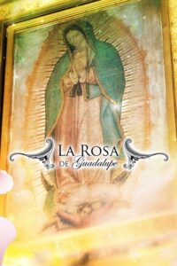 La rosa de Guadalupe (2008) – plakat filmu