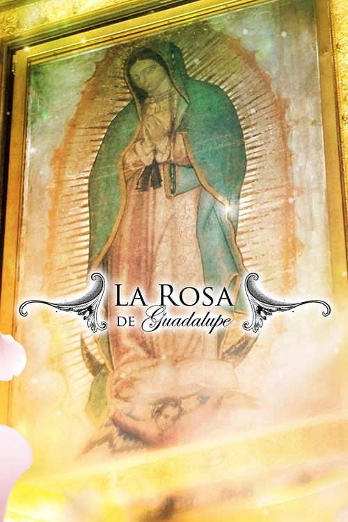 La rosa de Guadalupe (2008) – plakat filmu