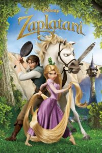 Zaplątani (2010) - plakat