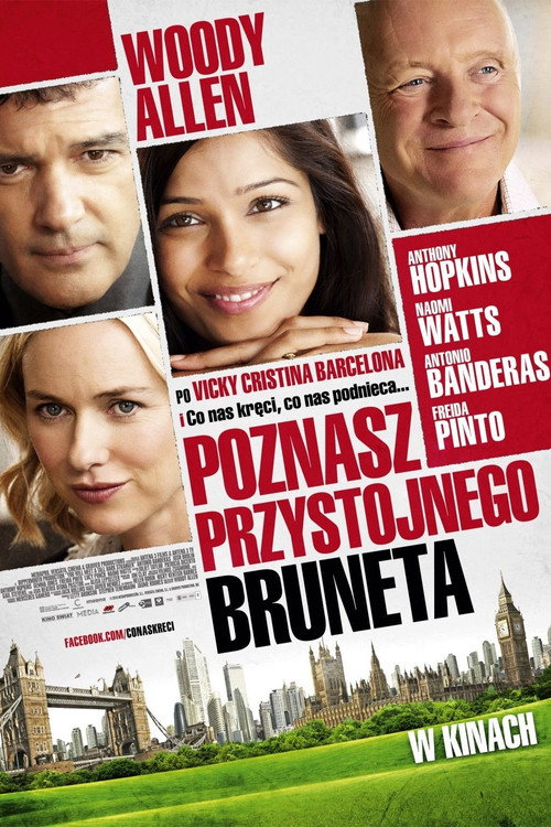 Poznasz przystojnego bruneta (2010) – plakat filmu