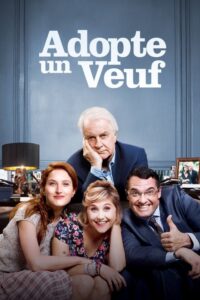 Pokój u wdowca (2016) – plakat filmu