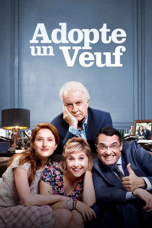 Pokój u wdowca (2016) – plakat filmu