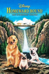 Niezwykła podróż (1993) – plakat filmu