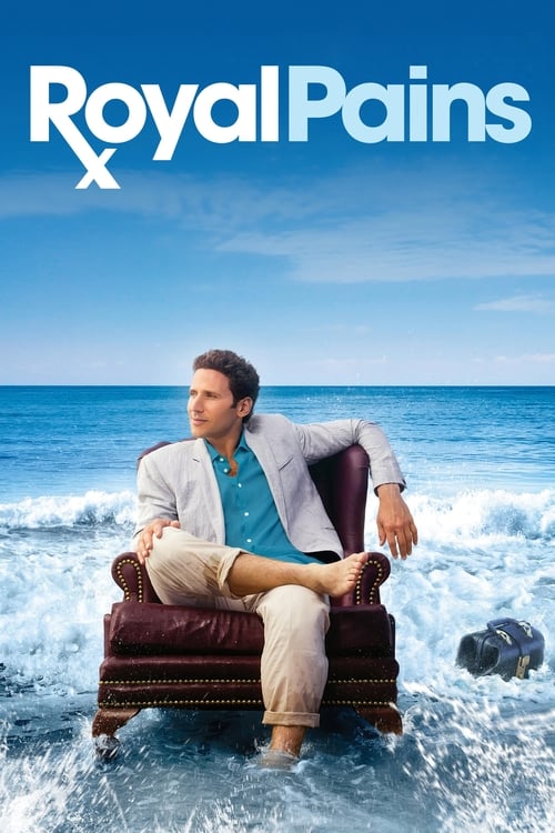 Royal Pains (2009) – plakat filmu