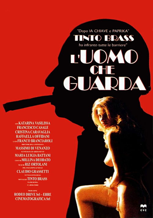 Mężczyzna, który patrzy (1994) – plakat filmu