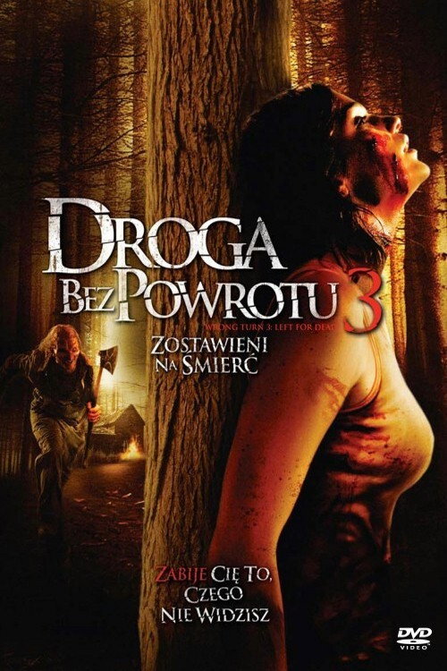 Droga bez powrotu 3: Zostawieni na śmierć (2009) – plakat filmu