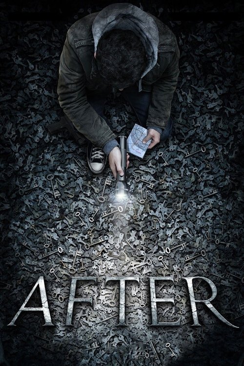 Po wypadku (2012) – plakat filmu