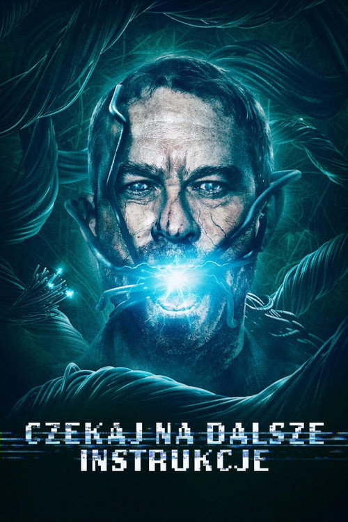 Czekaj na dalsze instrukcje (2018) – plakat filmu