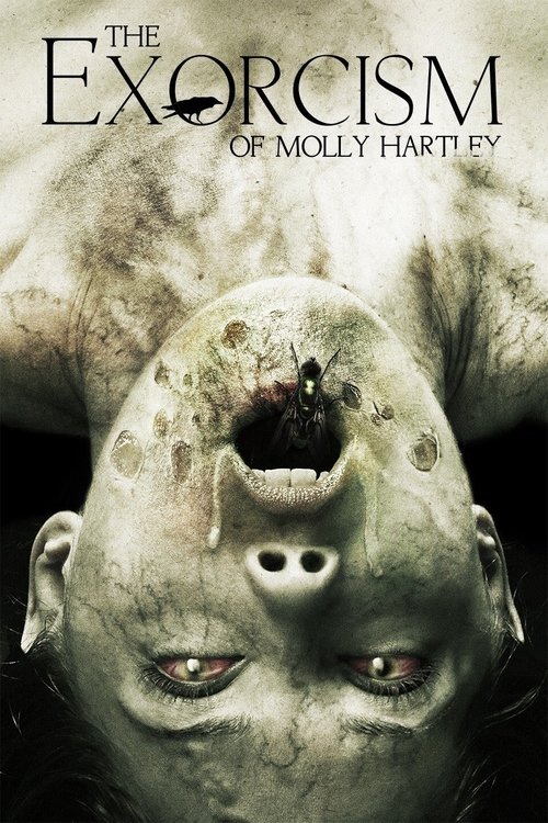 Egzorcyzmy Molly Hartley (2015) – plakat filmu