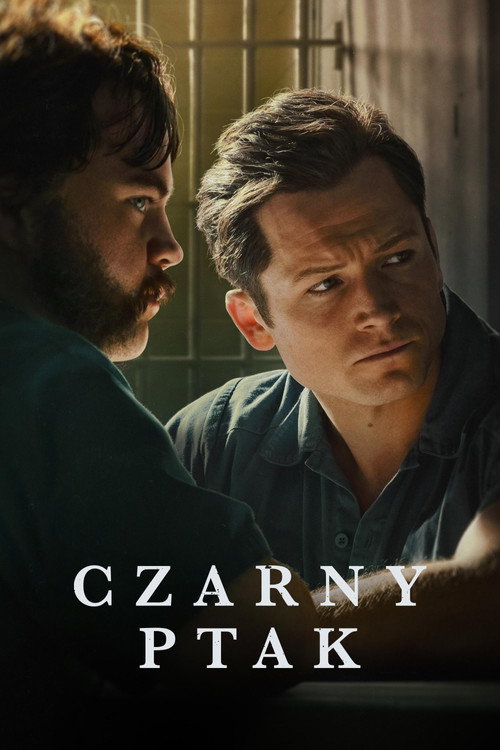 Czarny ptak (2022) – plakat filmu