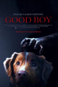 Good boy (2025) - plakat