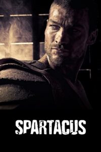 Spartakus (2010) - plakat