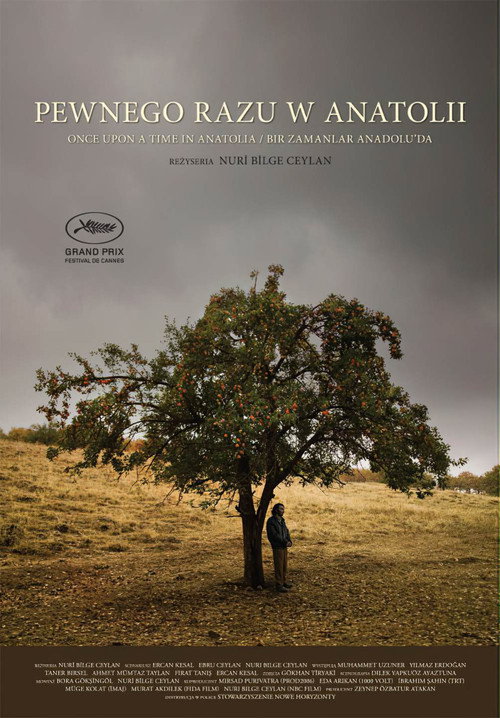Pewnego razu w Anatolii (2011) – plakat filmu