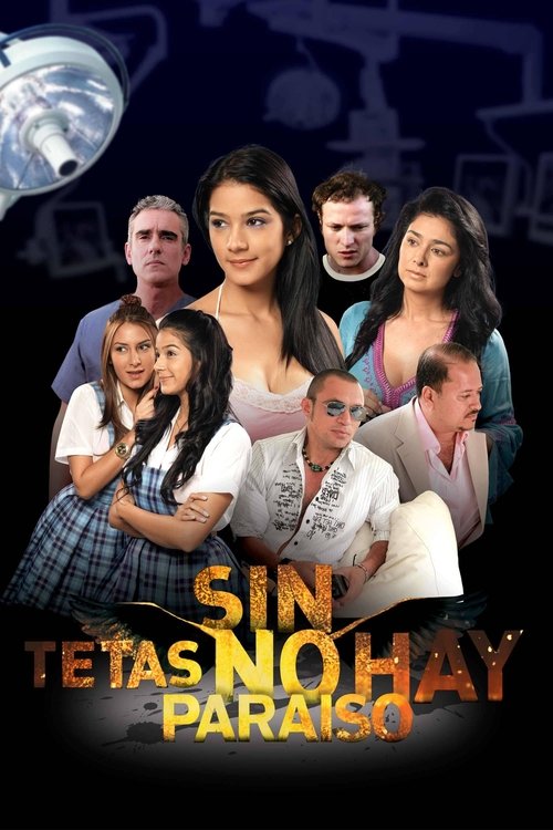 Sin tetas no hay paraíso (2010) – plakat filmu