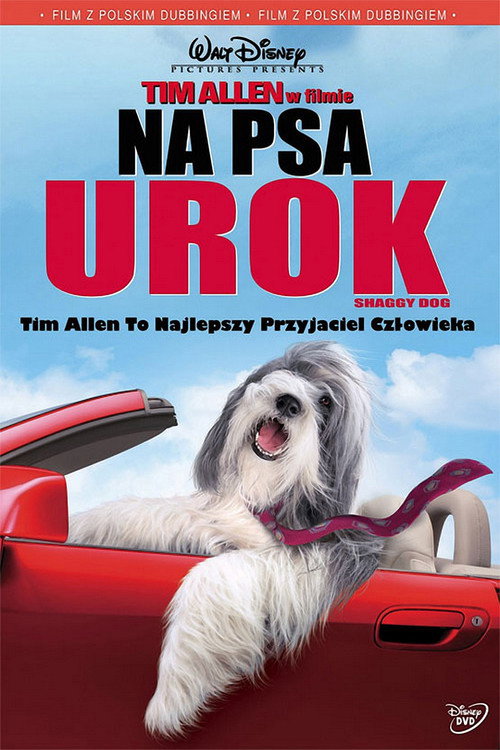 Na psa urok (2006) – plakat filmu