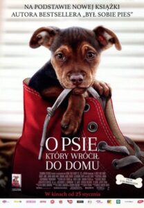 O psie, który wrócił do domu (2019) – plakat filmu