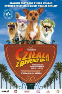 Cziłała z Beverly Hills (2008) – plakat filmu