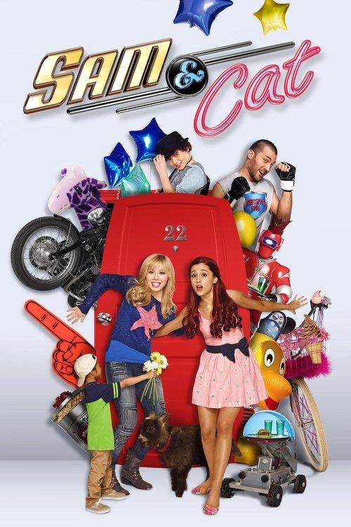 Sam i Cat (2013) – plakat filmu