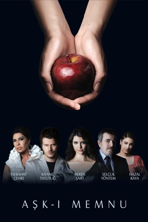 Aşk-ı Memnu (2008) – plakat filmu