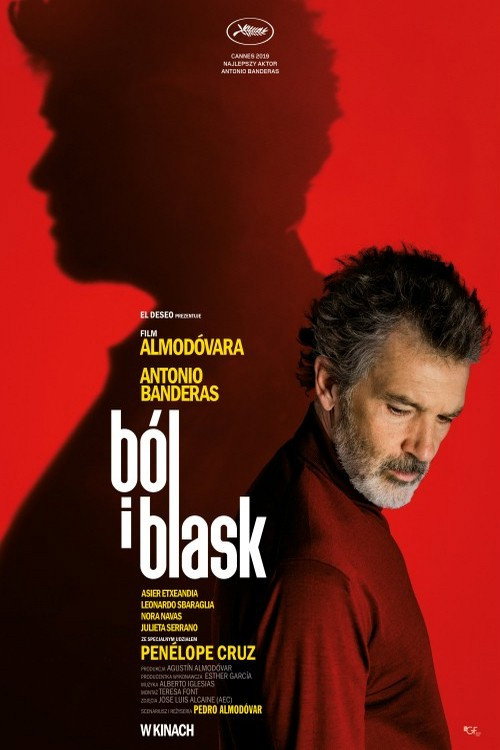 Ból i blask (2019) – plakat filmu