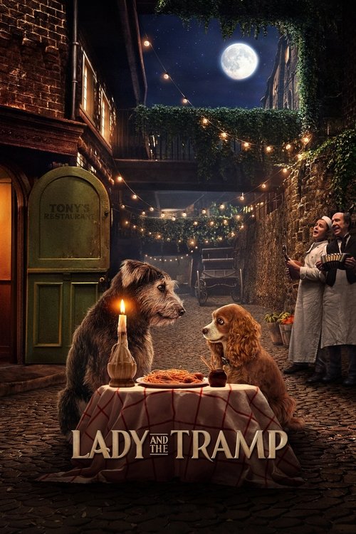 Zakochany kundel (2019) – plakat filmu