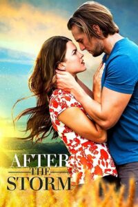 After the Storm (2019) – plakat filmu