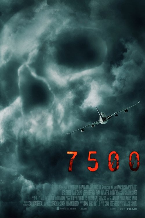 Flight 7500 (2014) – plakat filmu