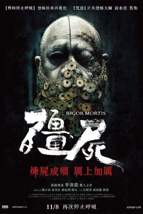 殭屍 (2013) – plakat filmu