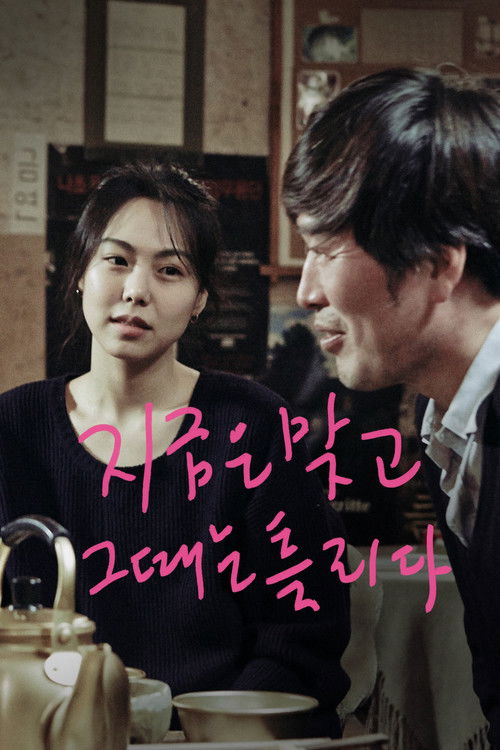 지금은맞고그때는틀리다 (2015) – plakat filmu